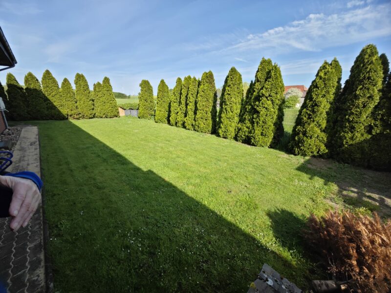 Pflaster & Reinigung, Referenzfoto von Volksgarten38