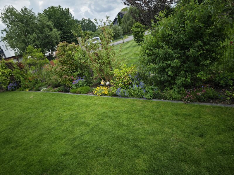 Gepflegter Garten mit Beet und Rasenfläche