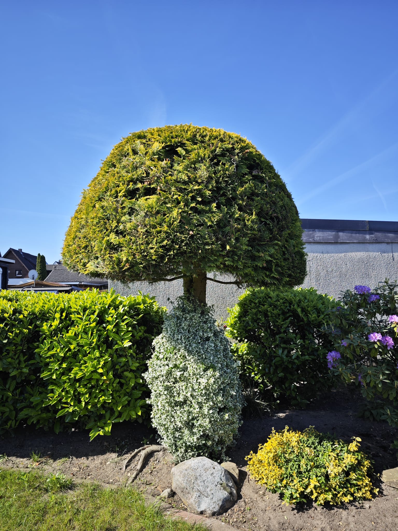 Baum- & Heckenschnitt, Referenzfoto von Volksgarten38